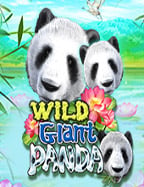 สูตรเล่นสล็อต king168 จากค่าย Joker Gaming